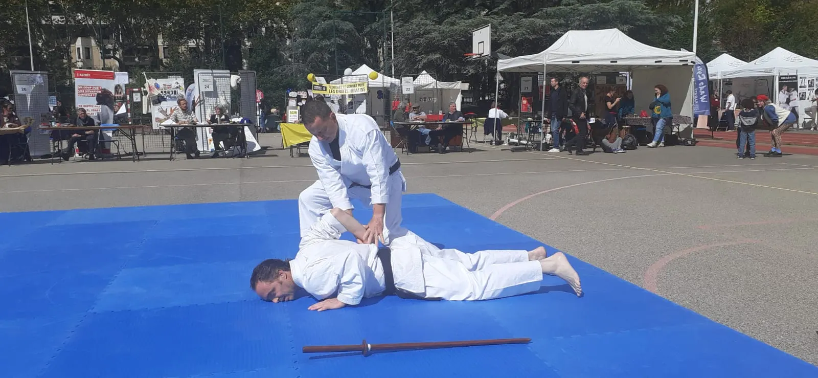 karate self defense lyon jutsu wado